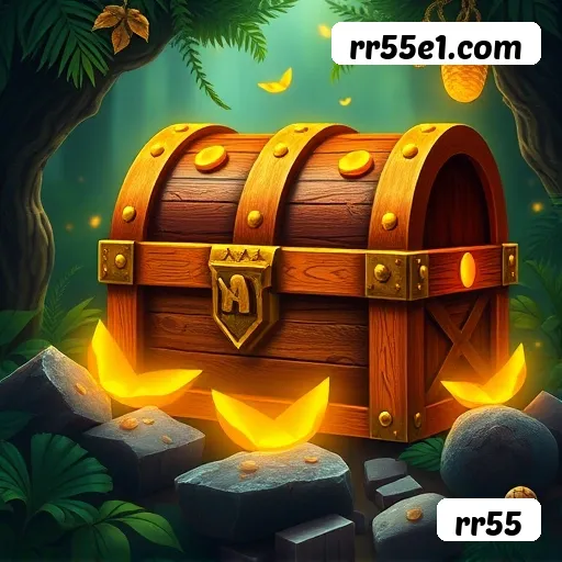 rr55 Rio de Janeiro - Bonus Terms
